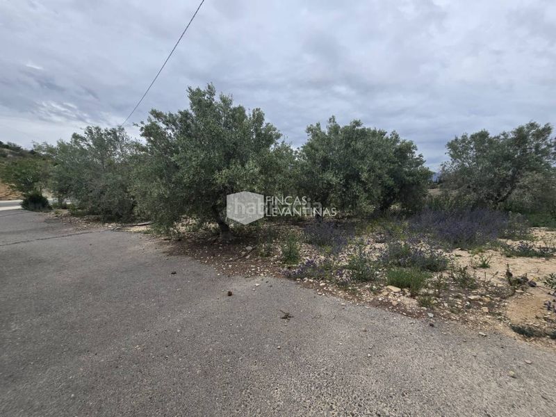 Foto 585177d7-352d-43d7-800c-d16228610c0d. Casa amb aparcament piscina a Monforte del Cid