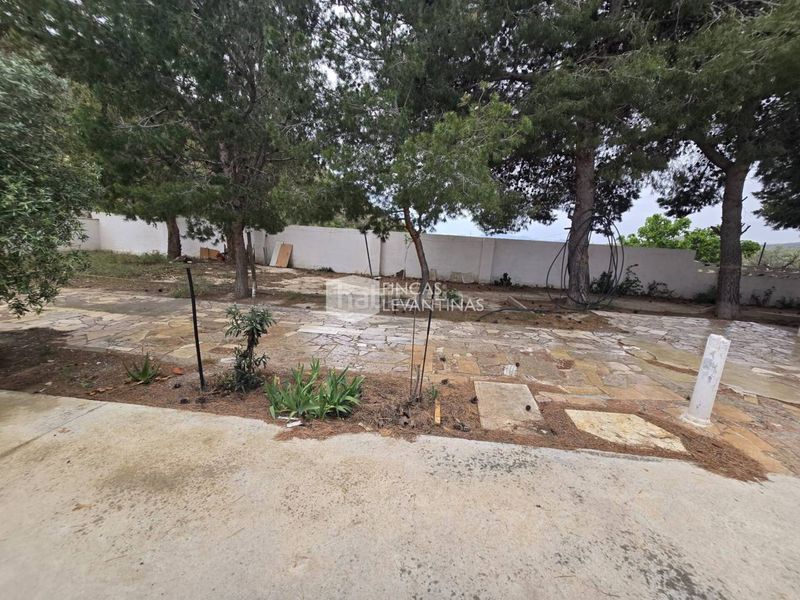 Foto 1590bc40-04d2-447b-a3e8-fcabc7b64bf1. Casa amb aparcament piscina a Novelda