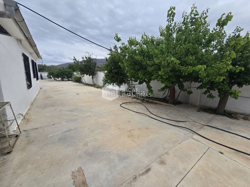 Foto 2d190186-44b2-4d3f-a78a-fb713732278a. Casa amb aparcament piscina a Novelda