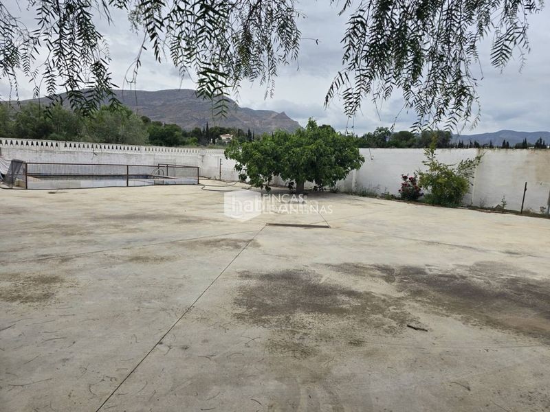 Foto 56e63aea-6cd1-4e9d-8bbe-ca07c2faaed6. Casa amb aparcament piscina a Novelda