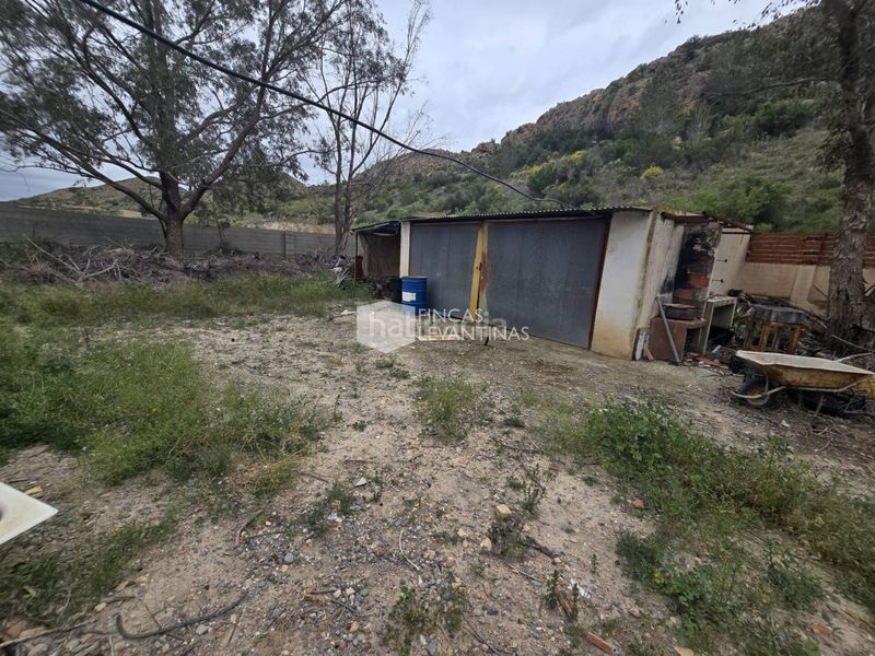 Foto 61be8633-8409-4679-80fc-e7db4260674a. Casa amb aparcament piscina a Novelda