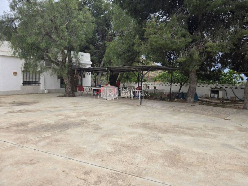 Foto 9b350d03-f4ed-4f0f-ba1b-9e64fb3ceea7. Casa amb aparcament piscina a Novelda