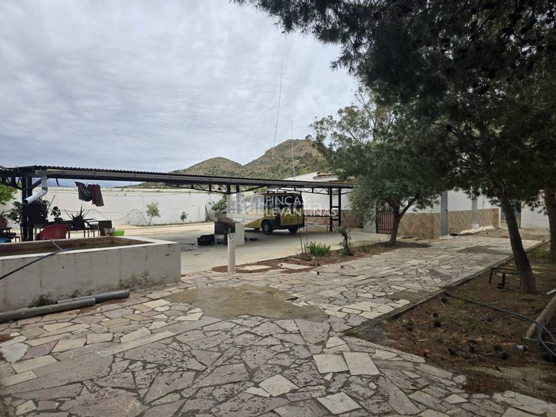 Foto fdcb0fde-723e-4cf6-bd0a-39442c5dd019. Casa amb aparcament piscina a Novelda