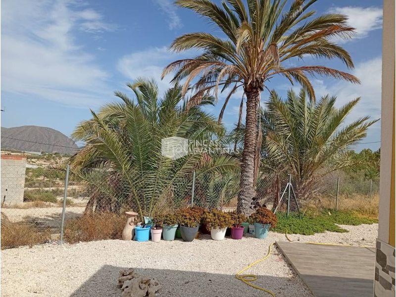 Foto b67bd1b6-8ca6-45b4-a1a5-cadbd20b06e2. Xalet a Cañada del Fenollar Alicante