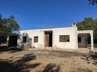 Finca rústica a San Rafael del Río. Terreno de 6 hectareas en produccion y masia