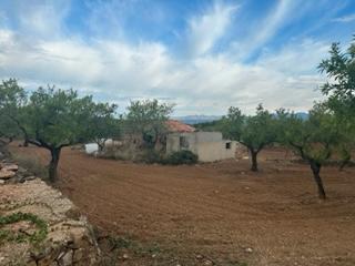Finca rústica a Cabanes. Finca vallada con masia de 80 mts
