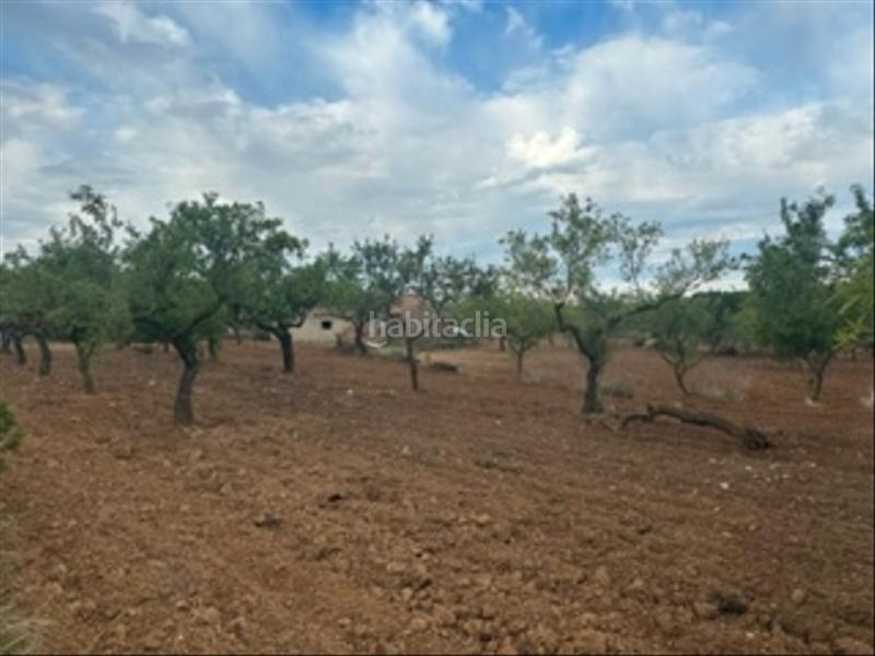 Foto e83380a6-0cb6-4526-84d5-f61e89c56c9c. Finca rústica finca vallada con masia de 80 mts en Cabanes