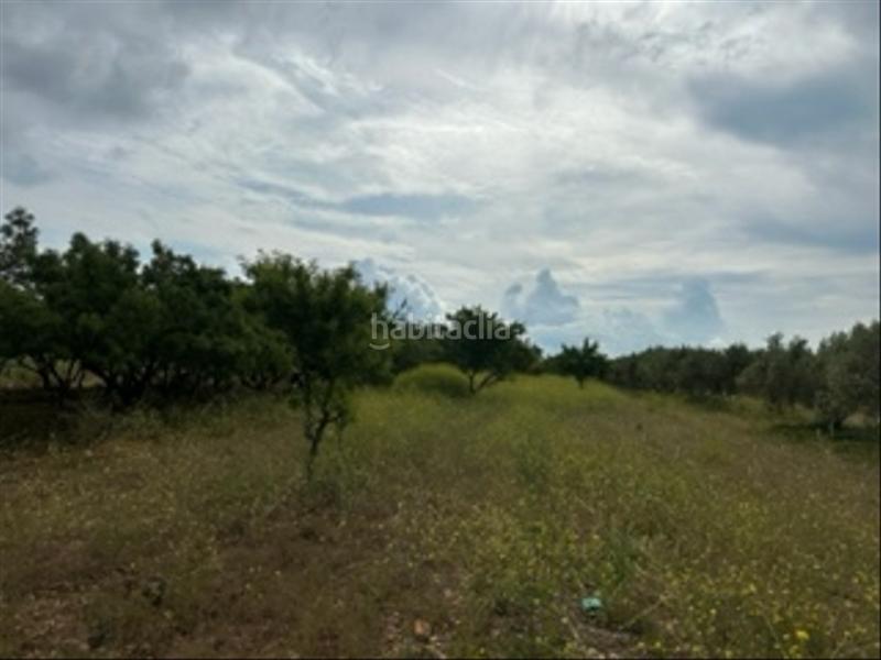 Foto 032c584e-ae98-496a-ac88-18891c4fd369. Fondo rustico in Cabanes