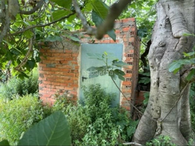 Foto 93016308-44d4-41bb-8e05-79ab066d278c. Fondo rustico in Cabanes