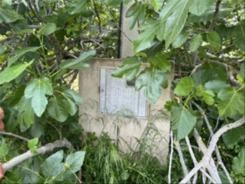 Foto b911be0e-409f-4dae-bba3-04d224ce17d6. Fondo rustico in Cabanes