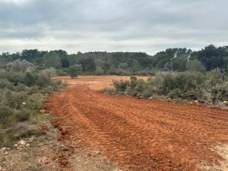 Finca rústica a Cabanes. Terreno plano, cerca del pueblo