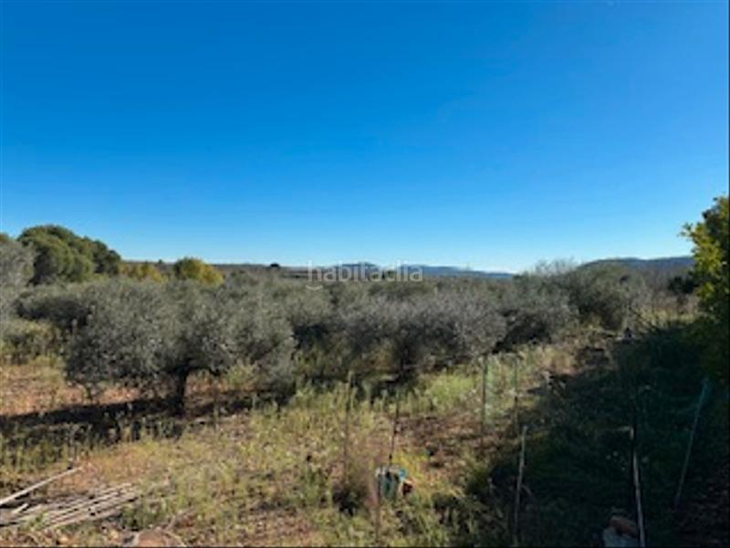 Foto 211e2c28-7d46-4c74-b734-909cc69a6f6d. Chalet dans Cabanes