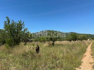 Foto 379e2279-5955-445e-9f0a-a5c2278bdb4d. Finca rústica a Cabanes