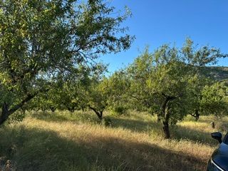 Fondo rustico in Cabanes. Parcela con agua y almendros