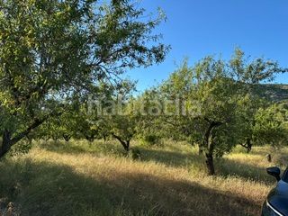 Foto 0ff9f33a-8878-4494-923d-4b727992c76a. Finca rústica a Cabanes