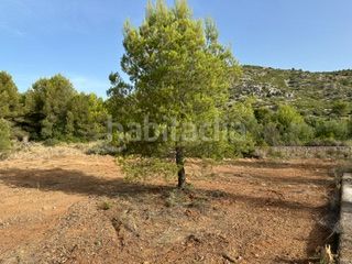 Foto 50fad1ed-083a-4f83-84be-47370108b05c. Finca rústica a Cabanes