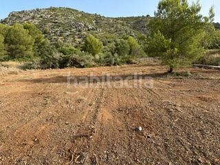 Foto 82ddeefc-816f-4f3b-8168-b2765853b346. Finca rústica a Cabanes