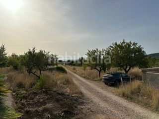 Foto fbf35013-cf86-46a8-a07c-060683ef3419. Finca rústica a Cabanes