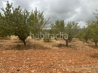 Foto 74718391-dfb6-4012-9a3e-ac0ddb9834e3. Finca rústica a Cabanes