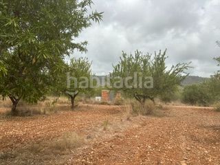 Foto 77c6107a-f693-4cf7-8e39-28552e5db3ec. Finca rústica a Cabanes