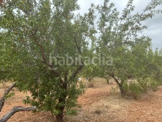 Foto aaa46444-1e45-4026-a7c9-e01eca00afd3. Finca rústica a Cabanes