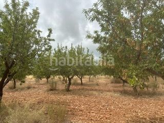 Foto c39c3c8d-a942-4747-bdd1-2ffd900972d4. Finca rústica a Cabanes