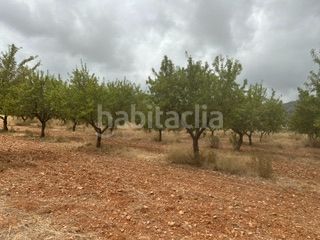 Foto edd9a7b9-00d2-43ed-8204-f6c8a49266eb. Finca rústica a Cabanes