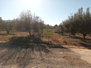 Solar urbano  Urbanització el boqueró-montepobla. Parcela de 800 mts de uso residencial
