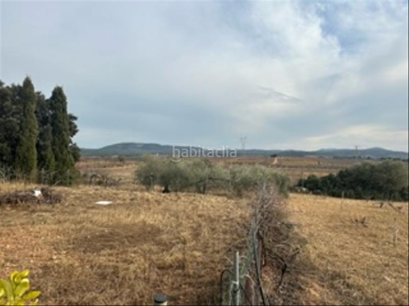 Foto 8c79df3e-7f8c-49ac-ade7-9194f4aa7413. Bauernhof in Benlloc