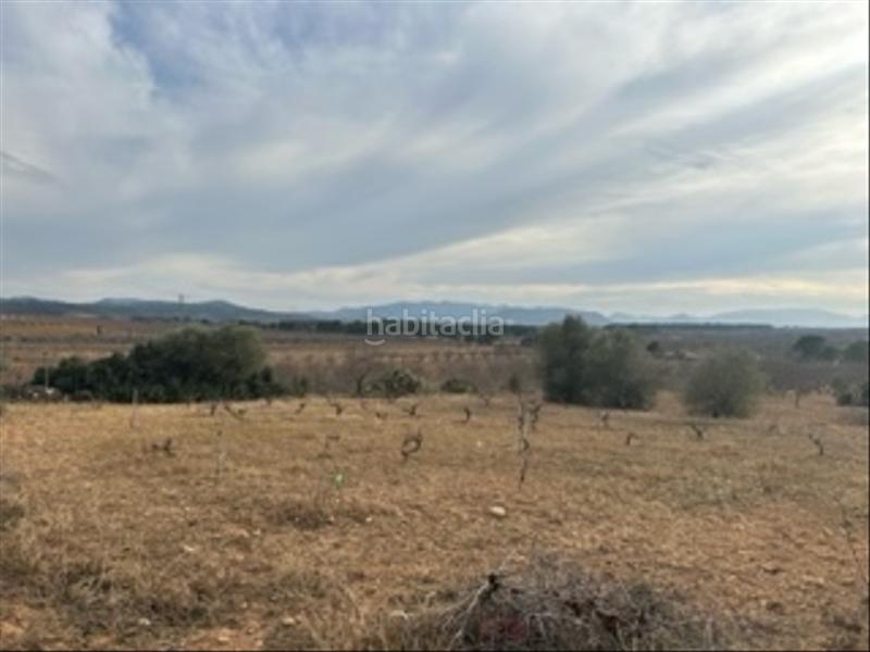 Foto e3e6c5e1-ae09-40c6-b9ff-d74a0c3b564f. Bauernhof in Benlloc