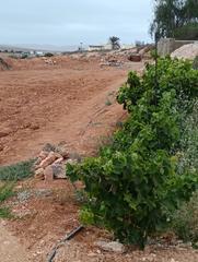 Terreno residencial  Llanos de la concepcion. Parcela  en venta con licencia de construcción en llanos de la c