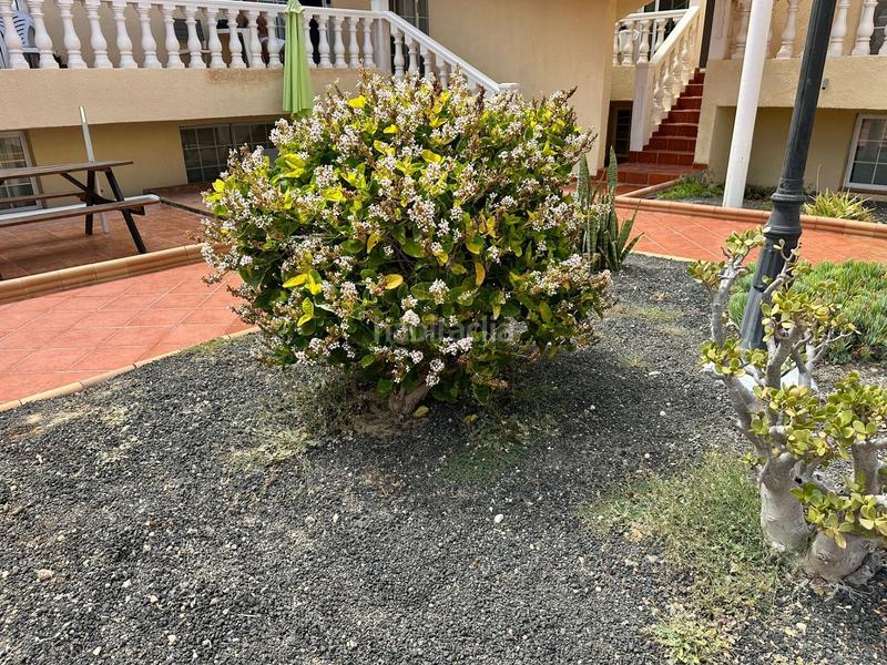 Foto e26ee835-1c19-47a7-84f3-595bfa2ccf1a. Duplex in Caleta de Fuste Antigua