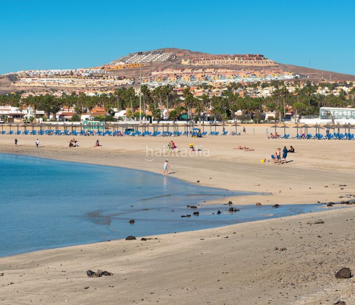 Foto bcd4d796-da24-4b4f-ba9d-887738da0e95. Pis a Caleta de Fuste Antigua