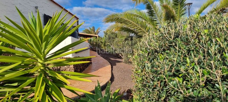 Foto aeaf6e66-b736-441c-9a51-dd7d2e0e1fcd. Casa a Parque Holandés Oliva (La)