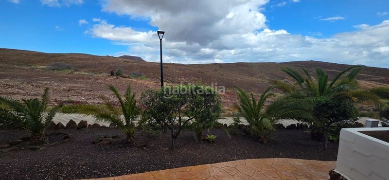 Foto f4776279-88ad-487d-be62-7ef2692bd9d1. Casa a Parque Holandés Oliva (La)
