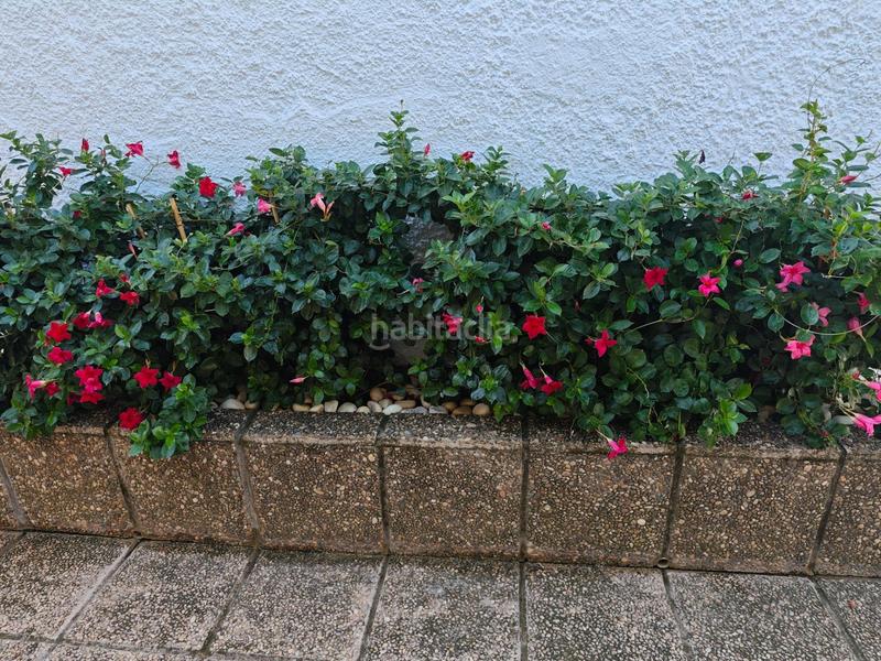 Foto 4145babc-97cf-42ea-bc86-f5a47104f4e5. Chalet avec chauffage parking piscine dans Castillo Sohail - Myramar Fuengirola