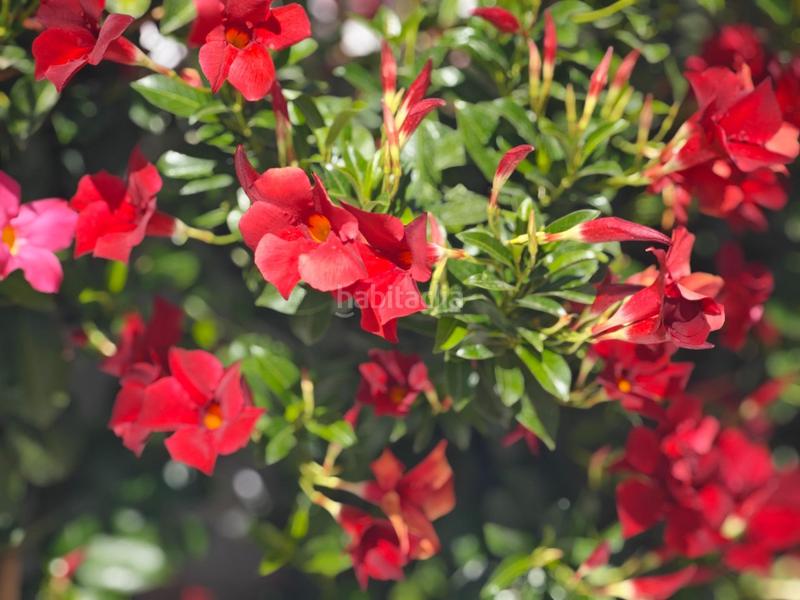 Foto 5f7f1bbd-98c0-4e9d-b1eb-0c8d773c6032. Chalet avec chauffage parking piscine dans Castillo Sohail - Myramar Fuengirola