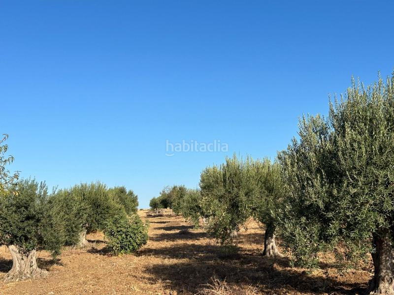 Foto 12efd52a-c8f5-4f4a-907e-f0a671e0a5de. Chalet con parcheggio in Pinos de Alhaurín Alhaurín de la Torre