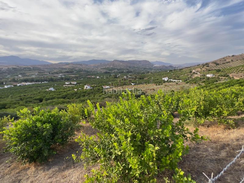 Foto 25d01005-a828-4c3d-810d-bbab9bf61158. Finca rústica a Ardales