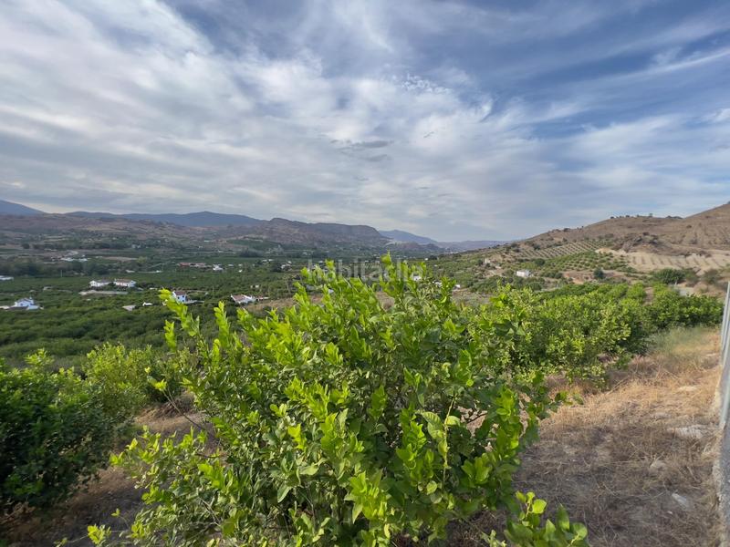 Foto 2e56b5b4-ccf3-4841-b465-540e6d8fd2c4. Finca rústica a Ardales