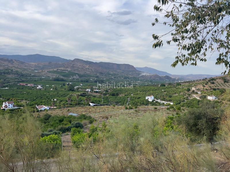 Foto 459dc769-7a5a-417b-9066-38e3ea00ca1a. Finca rústica a Ardales