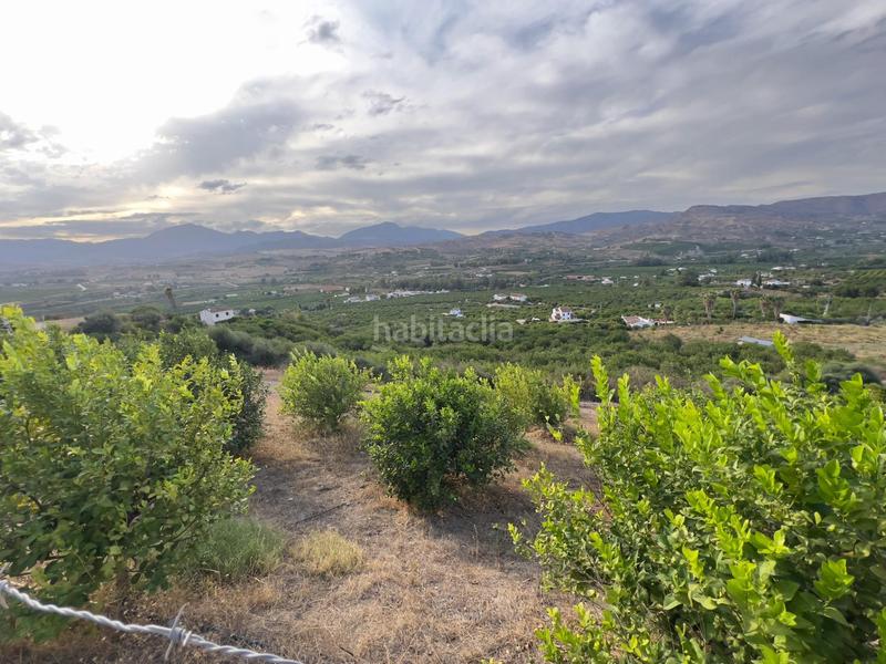 Foto d3f765eb-e2a3-4e33-a781-e4eddefbf047. Finca rústica a Ardales