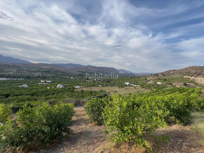 Foto f66bb7b5-8791-40d8-bdd3-5654d99d0596. Finca rústica a Ardales