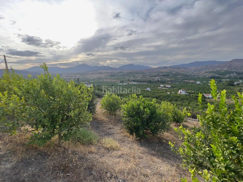 Foto fd420ecb-b815-427c-8f0f-4852c30070ba. Finca rústica a Ardales