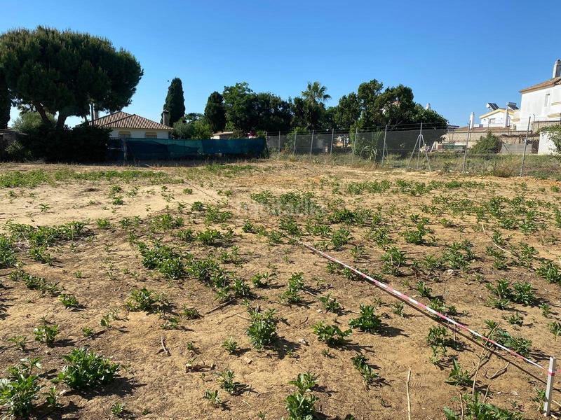 Foto 1260fd57-75d1-4a99-be10-79efa36f6e23. Terreny residencial a El Pino-Bajo de Guía Sanlúcar de Barrameda