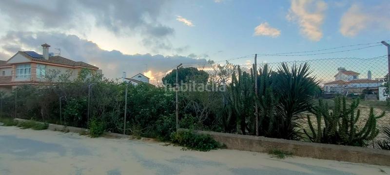 Foto 93236968-d73a-4f88-9b45-177aceb9a138. Terreny residencial a El Pino-Bajo de Guía Sanlúcar de Barrameda