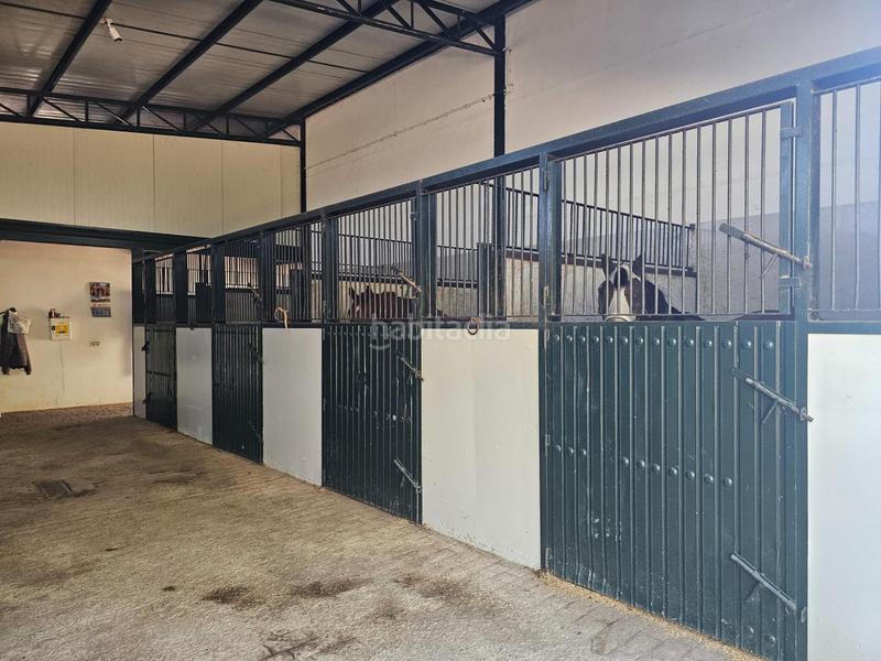 Foto 6f39f48a-9749-4c2d-8629-695e3edfc9ac. Casale con parcheggio in Ctra Jerez-Ctra del Puerto Sanlúcar de Barrameda