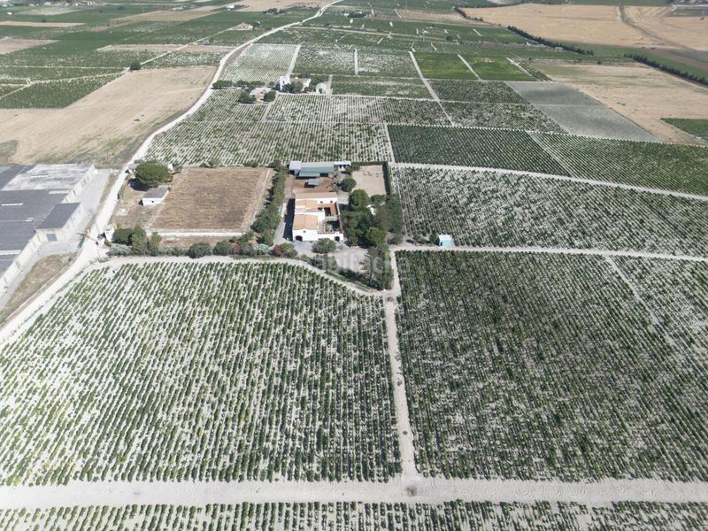 Foto bba9ad14-a313-459b-8b8c-429c7ff38a6a. Casale con parcheggio in Ctra Jerez-Ctra del Puerto Sanlúcar de Barrameda