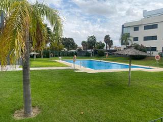 Pis a El Pino-Bajo de Guía. Amplia vivienda con vistas al coto de doñana