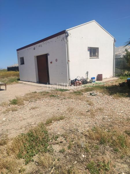 Foto 6e1634e2-8d0c-4399-acc6-b7ba8593f065. Finca rústica a Norte - Blanca Paloma Rota